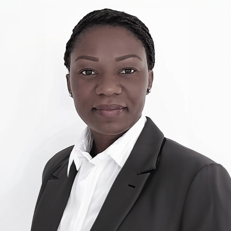 Investments - AXA Mansard